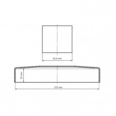 Apdailos dangtelis D42,4x125 mm 1