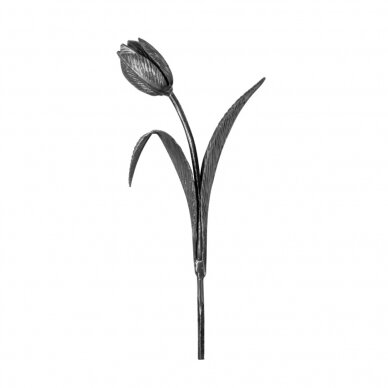 Dekoratyvinė tulpė H410XL165